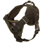 Lightweight Pulling Nylon Dog Harness for Pitbull with Handle