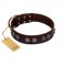 "King Arthur" FDT Artisan Brown Leather Pitbull Collar with Spiky Plates