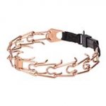 'Under Control' Pitbull Prong Collar with Removable Links - 1/6 inch (4.0 mm) prong diameter