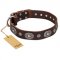 "Extra Pizzazz" FDT Artisan Adorned Brown Leather Pitbull Collar