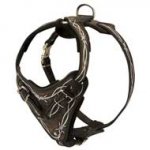Pitbull Adjustable Leather Dog Harness with Barbed Wire Hand Painting with Handle