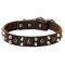 Stylish Leather Pitbull Collar Decorated with Studs and Pyramids