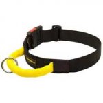 Strong Nylon Pitbull Collar for Training with Handle