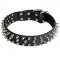 Leather Pitbull Collar Decorated with 3 Rows of Spikes