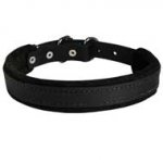 Leather Pitbull Collar - Felt Padded Dog Gear for Attack/Agitation Training