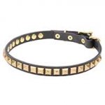 'Necklace-like' Pit Bull Dog Collar with Shining Studs - 4/5 inch (20 mm) wide
