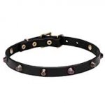 'Age of Style' Pit Bull Terrier Leather Dog Collar with Beautiful Cones - 3/4 inch (20 mm) wide