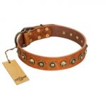 "Prez of the Pack" FDT Artisan Tan Leather Pitbull Collar with Skulls and Brooches