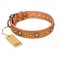"Feast of Luxury" FDT Artisan Tan Leather Pitbull Collar with Old Bronze Look Circles