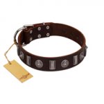 "Spiky Way" FDT Artisan Brown Leather Pitbull Collar with Silver-Like Decorations