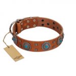 "Blue Sands" FDT Artisan Tan Leather Pitbull Collar with Silver-like Studs and Round Conchos with Stones