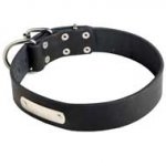 Special Adjustable Leather Collar with ID Tag for Pitbull Breed