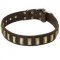 Designer Leather Pibull Collar Decorated with Small Brass Plates