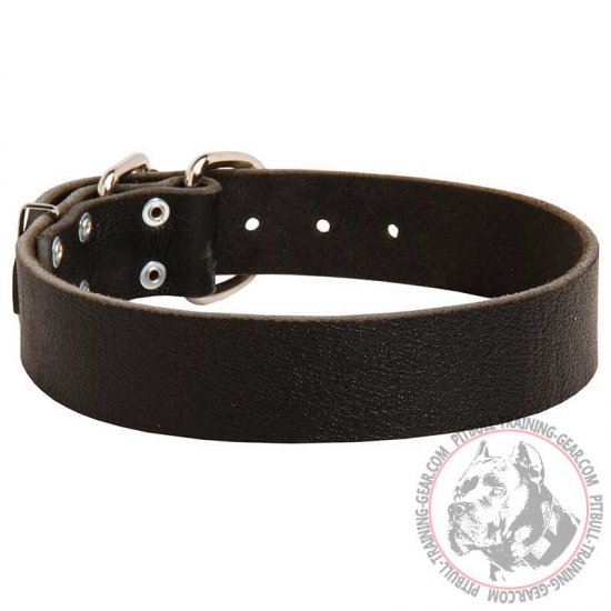 Petface Leather Dog Collar **SALE**