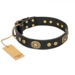 "Golden Radiance" FDT Artisan Black Leather Pitbull Collar with Old Bronze Look Ovals and Circles
