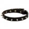 Spiked Leather Dog Collar for Pitbull