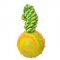 2 3/4 inch (7 cm) Dog Training Ball on a Rope - solid