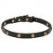 'Elegant Beauty' Pitbull Dog Collar with Brass Plated Circles - 4/5 inch (20 mm) Wide