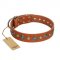 "Natural Beauty" FDT Artisan Tan Leather Pitbull Collar with Shining Silver-like Studs