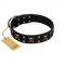 "Black Jack" Stylish Handmade FDT Artisan Black Leather Pitbull Collar