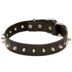 Durable Leather Pitbull Collar with Hand-Set Spikes