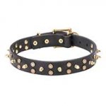 "Space Travel" 1 1/5 inch - 30 mm Leather Pitbull Collar with Brass Stars and Spikes