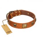 "Knights Templar" FDT Artisan Tan Leather Pitbull Collar with Skulls and Crossbones Combined with Squares