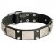 Fashion War Leather Pitbull Collar with 2 Pyramids and Plate Adornment