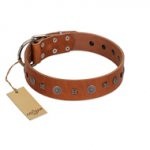 "Sweet Caramel" Designer FDT Artisan Tan Leather Pitbull Collar