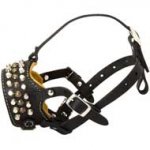 Anti-Barking Leather Pit Bull Muzzle with Studs for Training