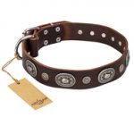 "Extra Pizzazz" FDT Artisan Adorned Brown Leather Pitbull Collar