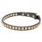 'Necklace-like' Pit Bull Dog Collar with Shining Studs - 4/5 inch (20 mm) wide