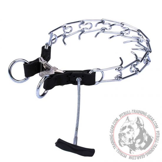 pinch collar training