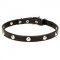 'Shiny Necklace' Trendy Design Pit Bull Leather Dog Collar - 3/4 Inch (20 mm) wide