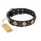 "Fancy-Schmancy" FDT Artisan Studded Leather Pitbull Collar