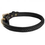 Stylish Leather Pitbull Collar with Braided Decorations