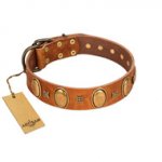 "Glossy Autumn" Designer Handmade FDT Artisan Tan Leather Pitbull Collar with Ovals and Studs