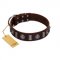 "Spiky Way" FDT Artisan Brown Leather Pitbull Collar with Silver-Like Decorations