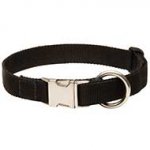 High-quality Adjustable Nylon Pitbull Collar for Training and Walking