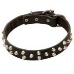 Fashion Leather Dog Collar for Pitbull with pyramids