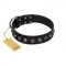 "Black Knight" Handmade FDT Artisan Black Leather Pitbull Collar with Silver-Like Studs