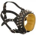 Spiked & Studded Leather Pitbull Muzzle for Anti-Barking Training