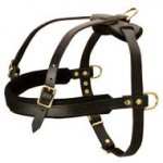 Effective Tracking/Pulling Leather Harness for Pit Bull