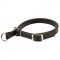Adjustable Leather Pitbull Slip Collar with Buckle - Transformer