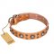 'Extra Sparkle' FDT Artisan Handcrafted Pitbull Tan Leather Dog Collar