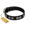 "Magic Amulete" Handcrafted FDT Artisan Black Leather Pitbull Collar with Chrome-Plated Shields