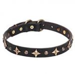 'Milky Way' Pit Bull Dog Collar with Bronze-Plated Fineries - 1 inch (25 mm) wide