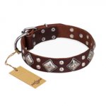 "King of Grace" FDT Artisan Stylish Leather Pitbull Collar with Old Silver-Like Plated Decorations
