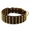 Wide Leather Pitbull Collar with Brass Spikes for Stylish Walking
