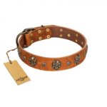 "Rockstar" FDT Artisan Tan Leather Pitbull Collar with Engraved Studs and Medallions